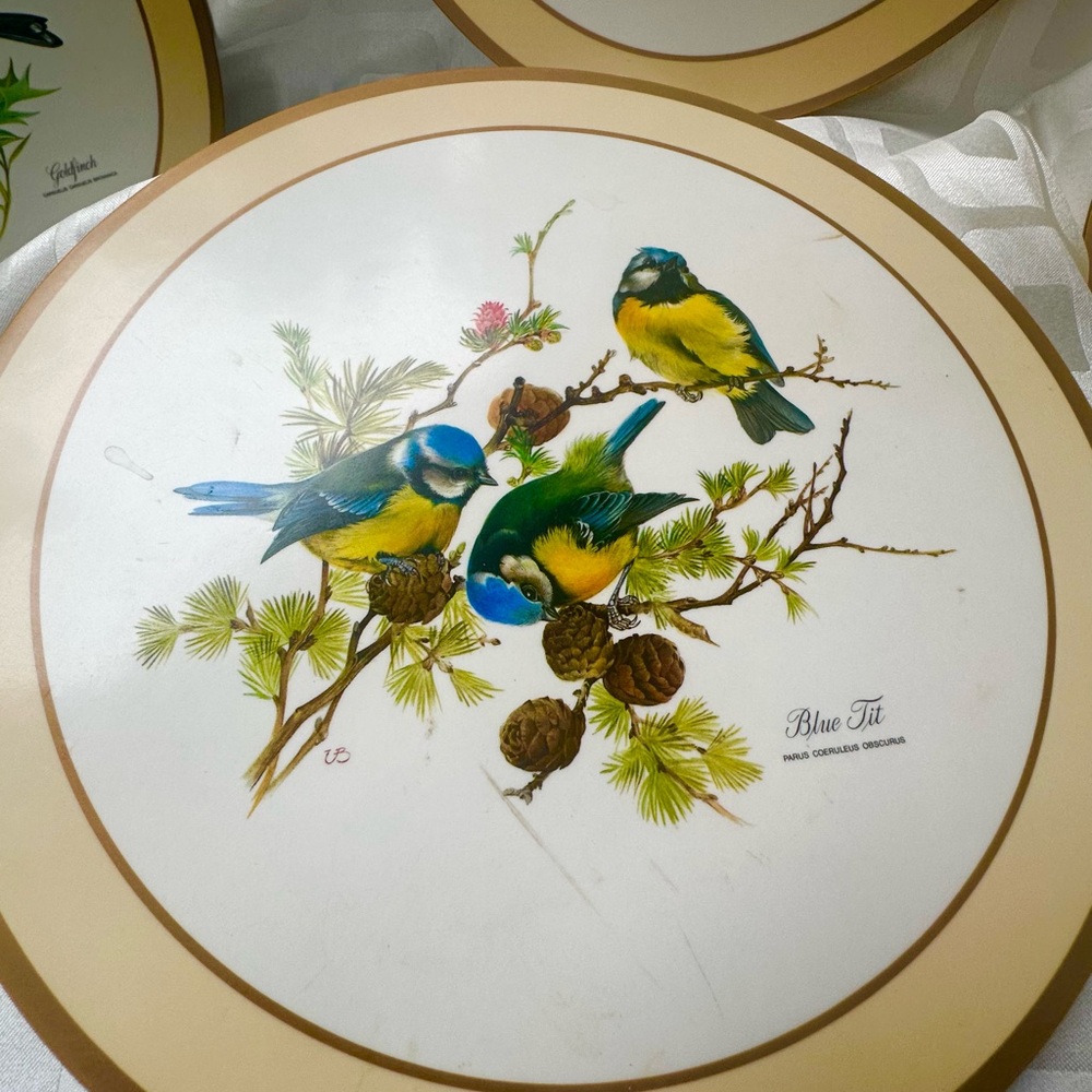 EUC Set of 6 Wooden Bird Coasters - Made in England - Picture 6 of 9